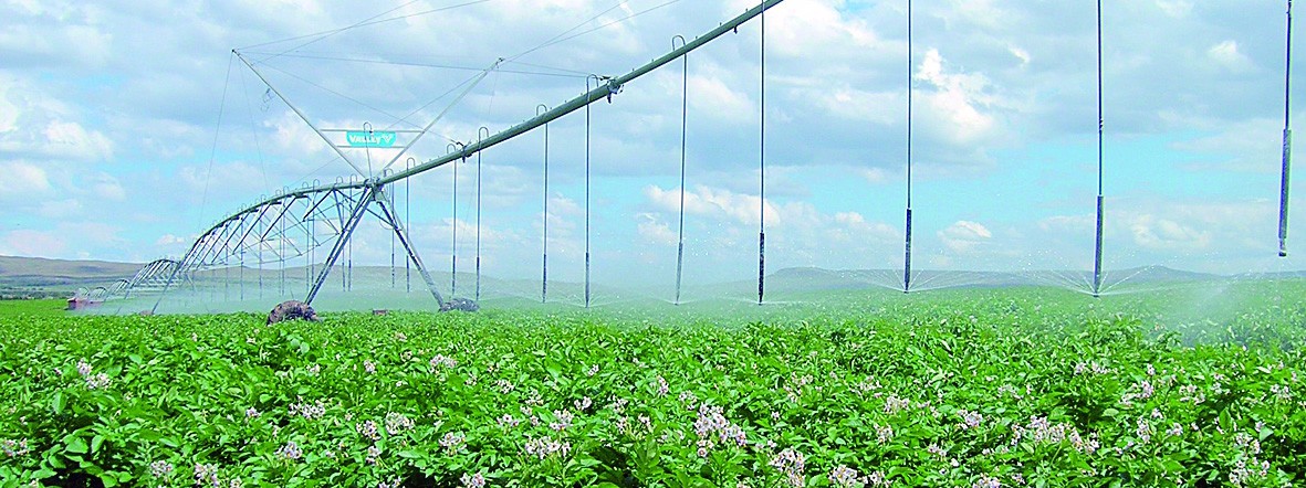 水肥一體化現場圖 水肥一體化現場圖