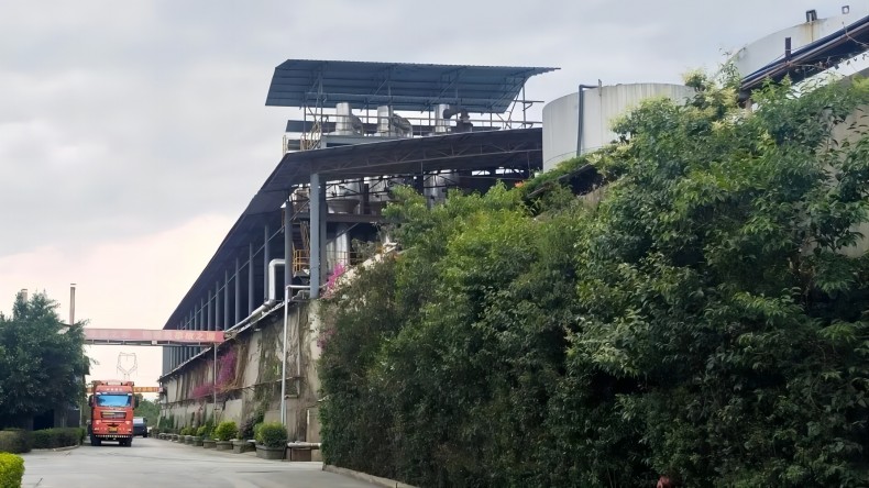 1716193430588444.jpg 790.jpg